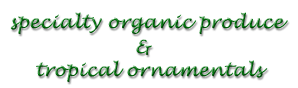 Specialty Organic Produce & Tropical Ornamentals